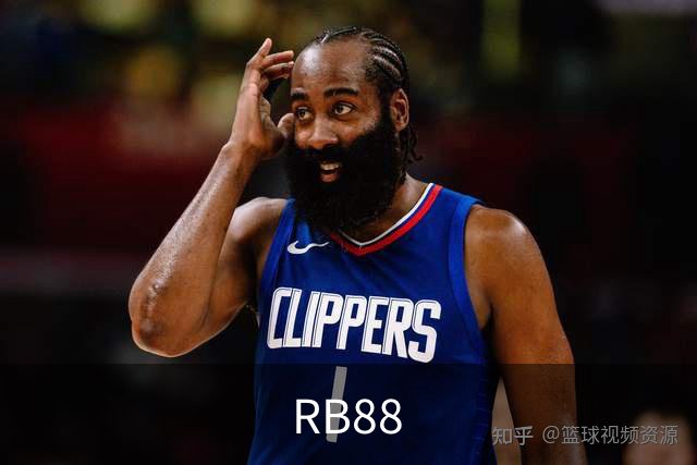 RB88平台介绍图片